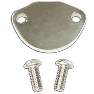 Plaque de remplacement pompe origine en inox poli VINTAGE SPEED