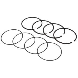 Segments (4) total seal  85.5mm (second segment)