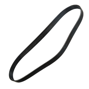 Courroie de génératrice  21.36x1038mm