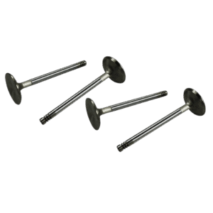Set de 4 soupapes 40mm INOX queue de 8 mm